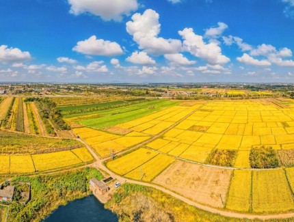 水溶性有机肥技术成熟，跨界融合引领水肥一体化新时代