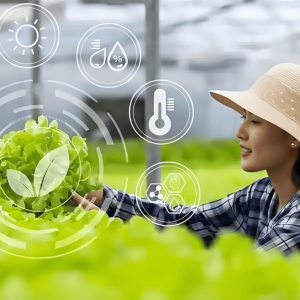 作物营养诊断 + 精准施肥指导 缺素早防早治