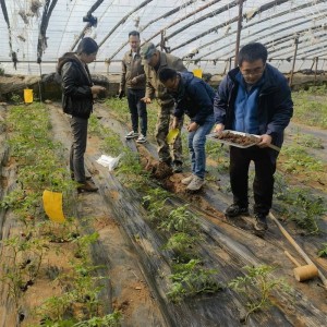 大棚 / 果园土壤精准检测 防重茬降病害提产量