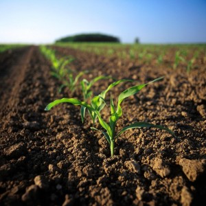 农田土壤健康检测 土壤改良方案定制