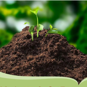 个人种植户求购有机肥