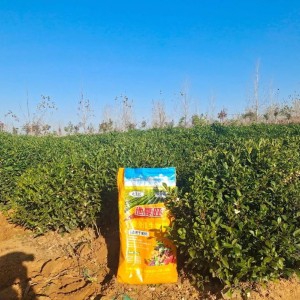 茶叶种植企业求购有机肥